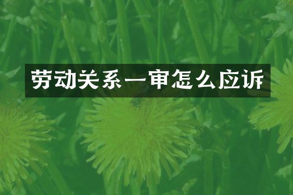 劳动关系一审怎么应诉