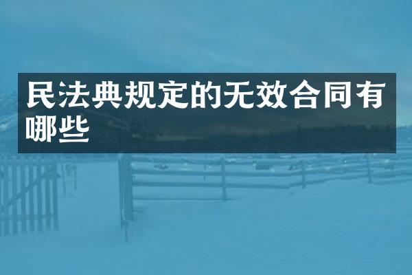 民法典规定的无效合同有哪些
