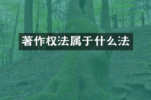 著作权法属于什么法