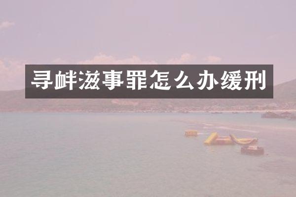 寻衅滋事罪怎么办缓刑