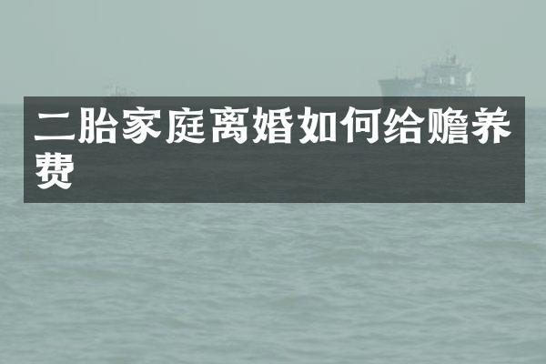 二胎家庭离婚如何给赡养费