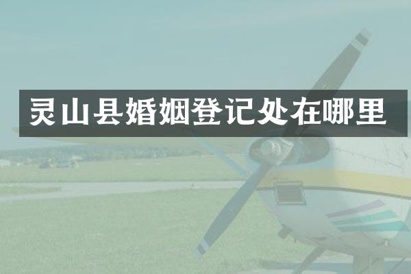 灵山县婚姻登记处在哪里