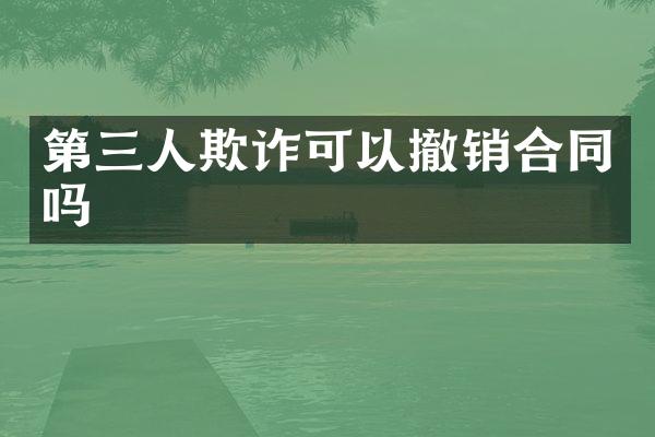 第三人欺诈可以撤销合同吗