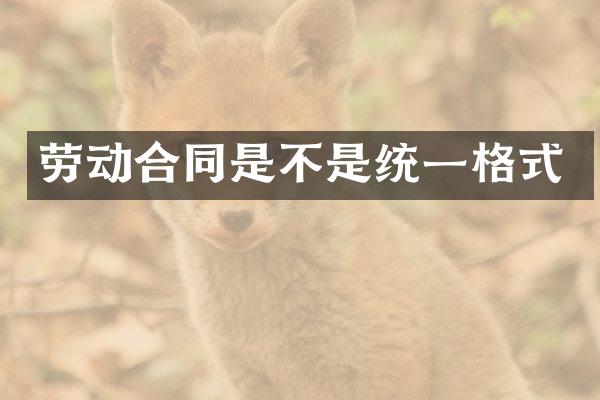 劳动合同是不是统一格式