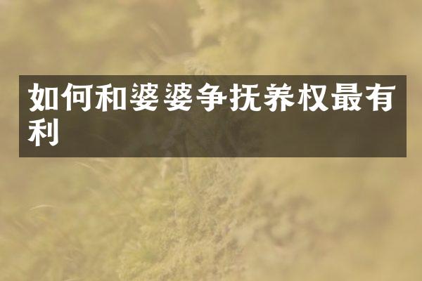 如何和婆婆争抚养权最有利