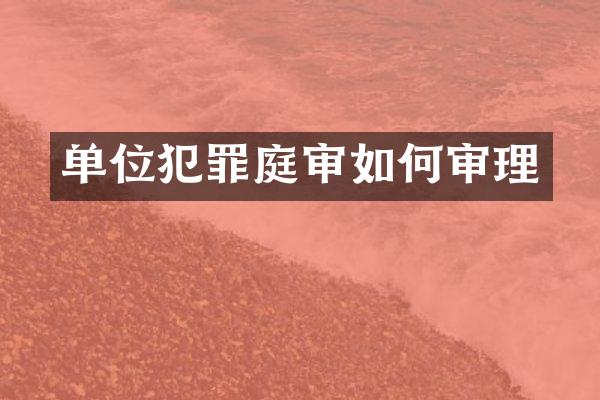 单位犯罪庭审如何审理