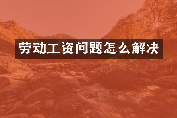 劳动工资问题怎么解决