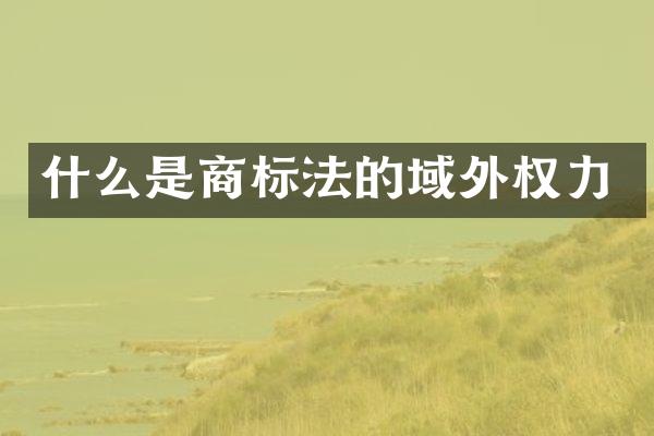 什么是商标法的域外权力