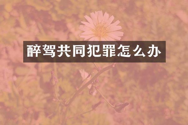 醉驾共同犯罪怎么办