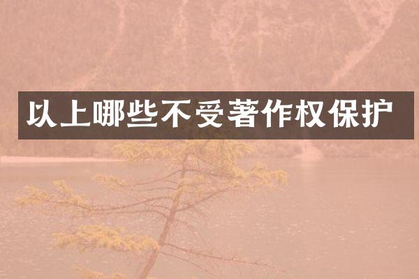 以上哪些不受著作权保护