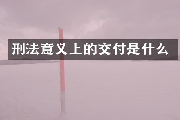 刑法意义上的交付是什么