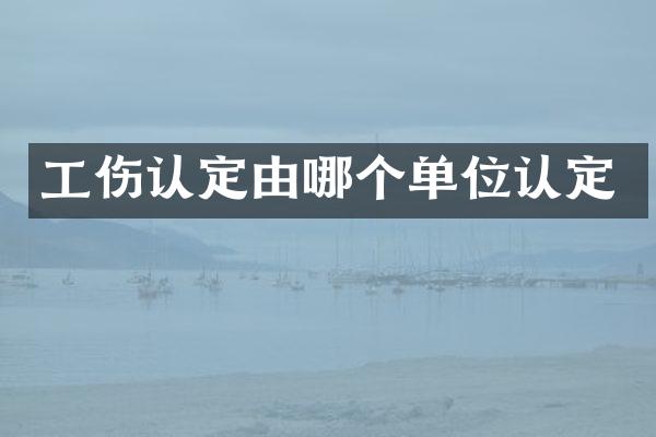 工伤认定由哪个单位认定