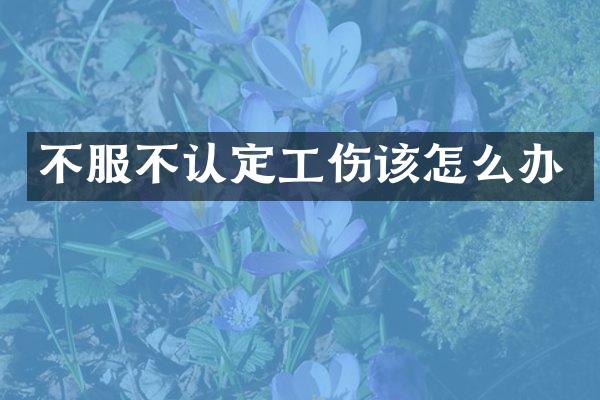 不服不认定工伤该怎么办