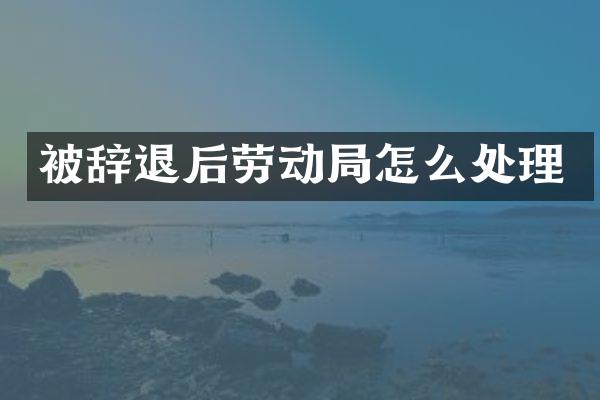 被辞退后劳动局怎么处理