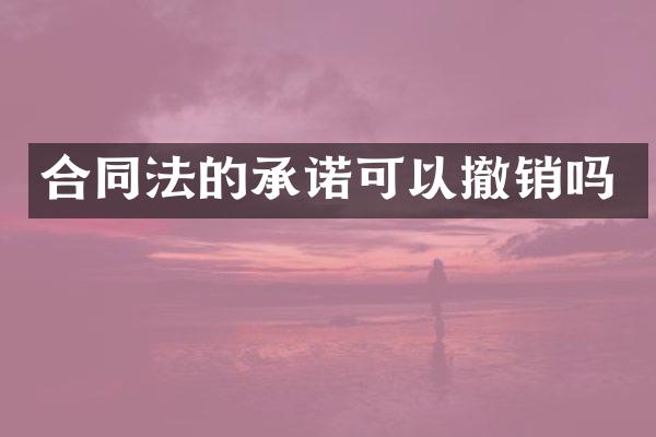 合同法的承诺可以撤销吗
