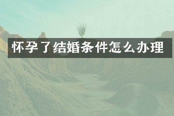 怀孕了结婚条件怎么办理
