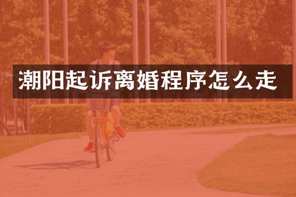 潮阳起诉离婚程序怎么走