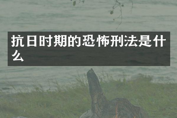 抗日时期的恐怖刑法是什么