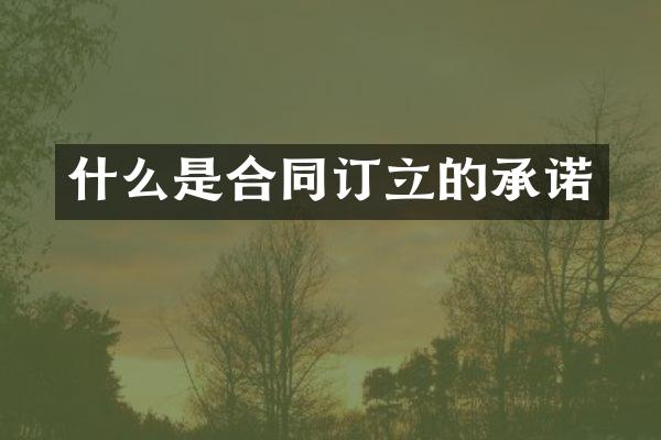 什么是合同订立的承诺