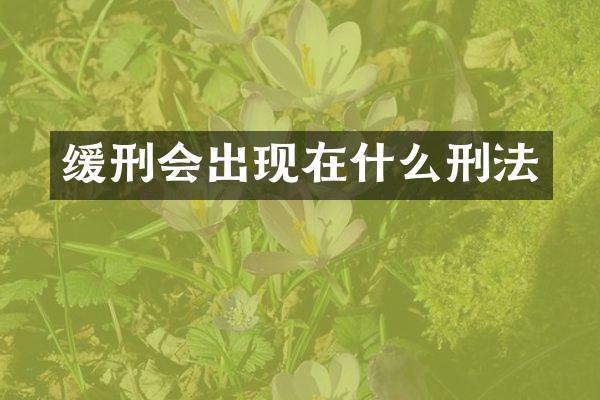 缓刑会出现在什么刑法