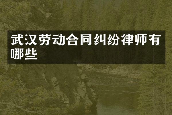 武汉劳动合同纠纷律师有哪些