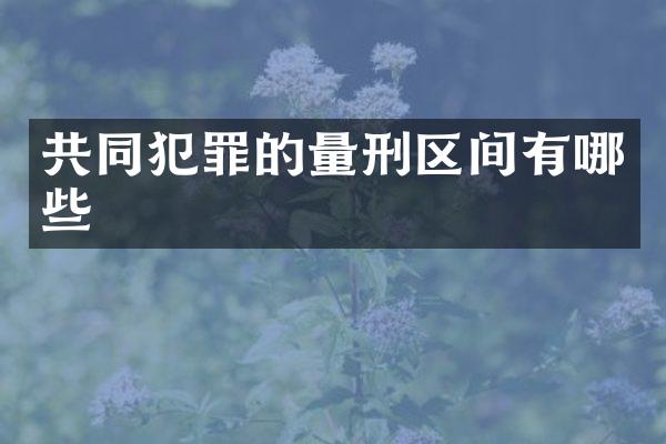 共同犯罪的量刑区间有哪些