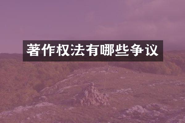 著作权法有哪些争议