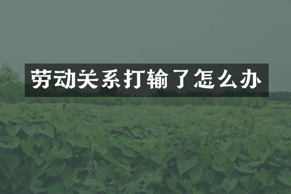 劳动关系打输了怎么办
