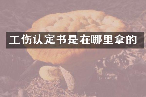 工伤认定书是在哪里拿的