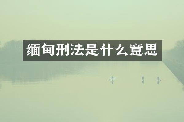 缅甸刑法是什么意思