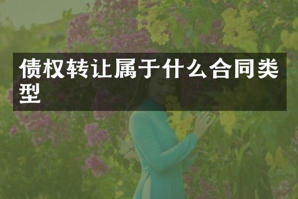 债权转让属于什么合同类型