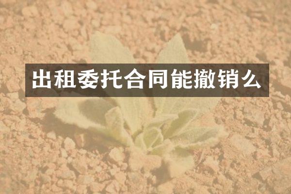 出租委托合同能撤销么