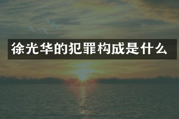 徐光华的犯罪构成是什么