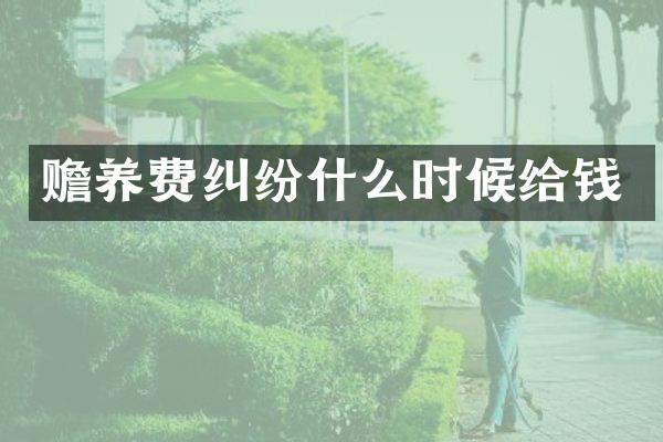 赡养费纠纷什么时候给钱