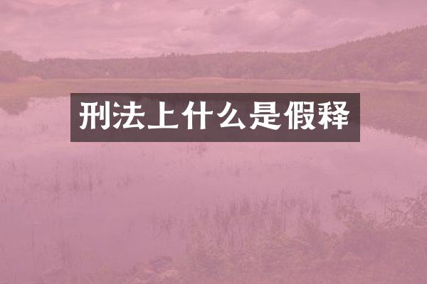 刑法上什么是假释