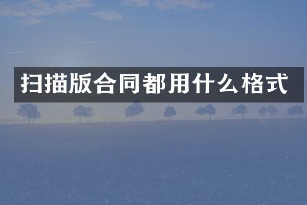 扫描版合同都用什么格式