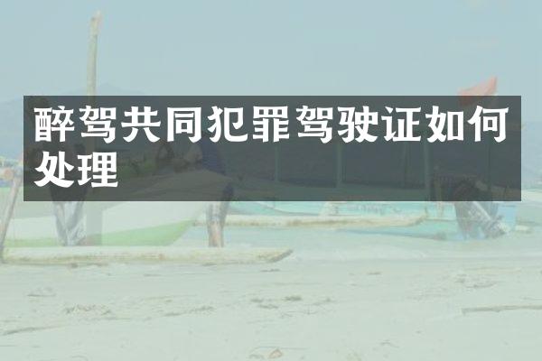 醉驾共同犯罪如何处理