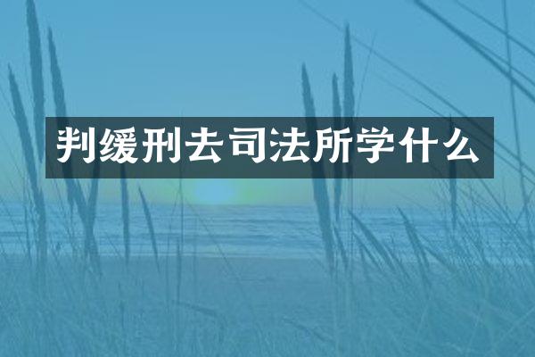 判缓刑去司法所学什么