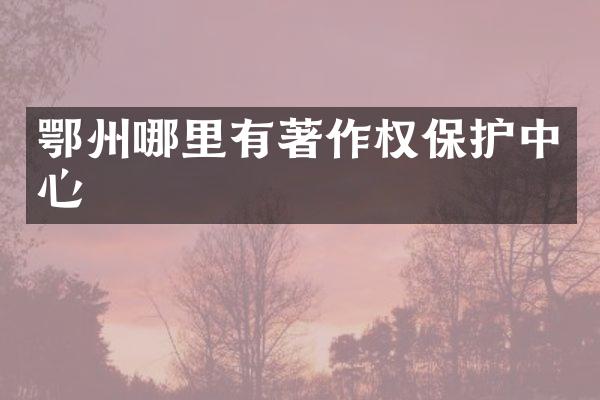 鄂州哪里有著作权保护中心
