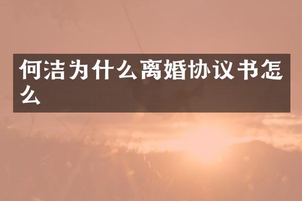 何洁为什么离婚协议书怎么