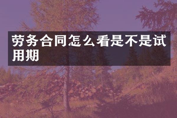 劳务合同怎么看是不是试用期