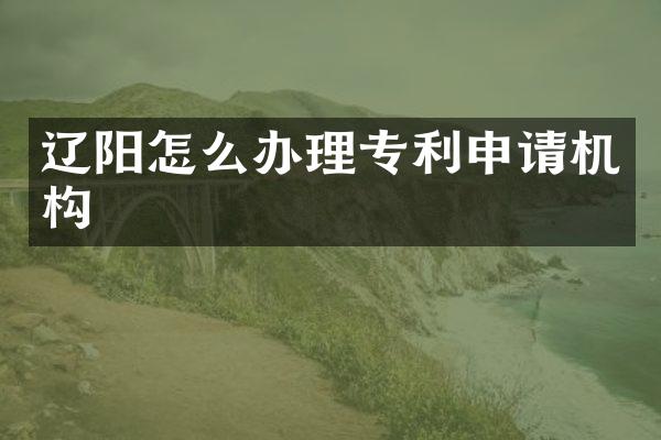 辽阳怎么办理专利申请机构