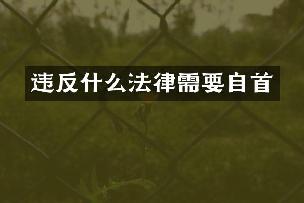 违反什么法律需要自首