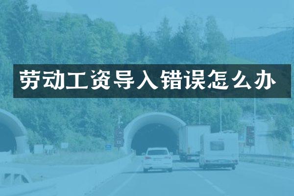 劳动工资导入错误怎么办