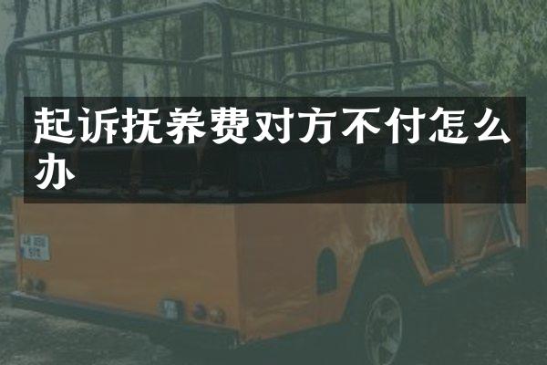 起诉抚养费对方不付怎么办