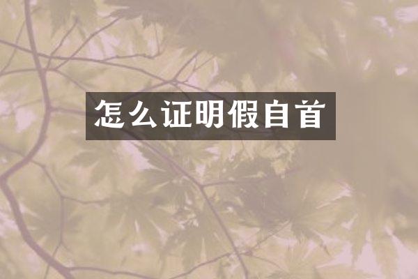 怎么证明假自首