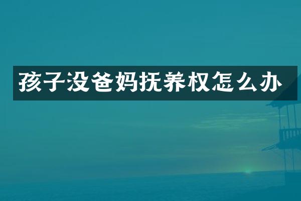 孩子没爸妈抚养权怎么办
