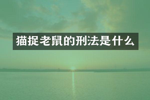 猫捉老鼠的刑法是什么