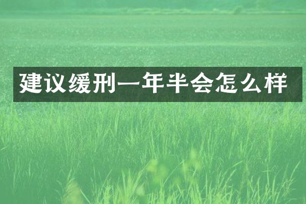 建议缓刑一年半会怎么样