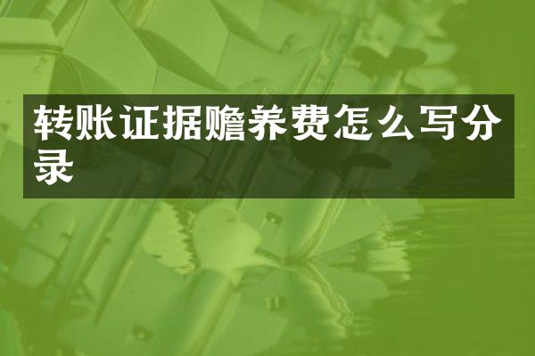 转账证据赡养费怎么写分录